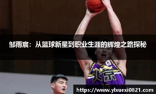 熊猫体育官网入口